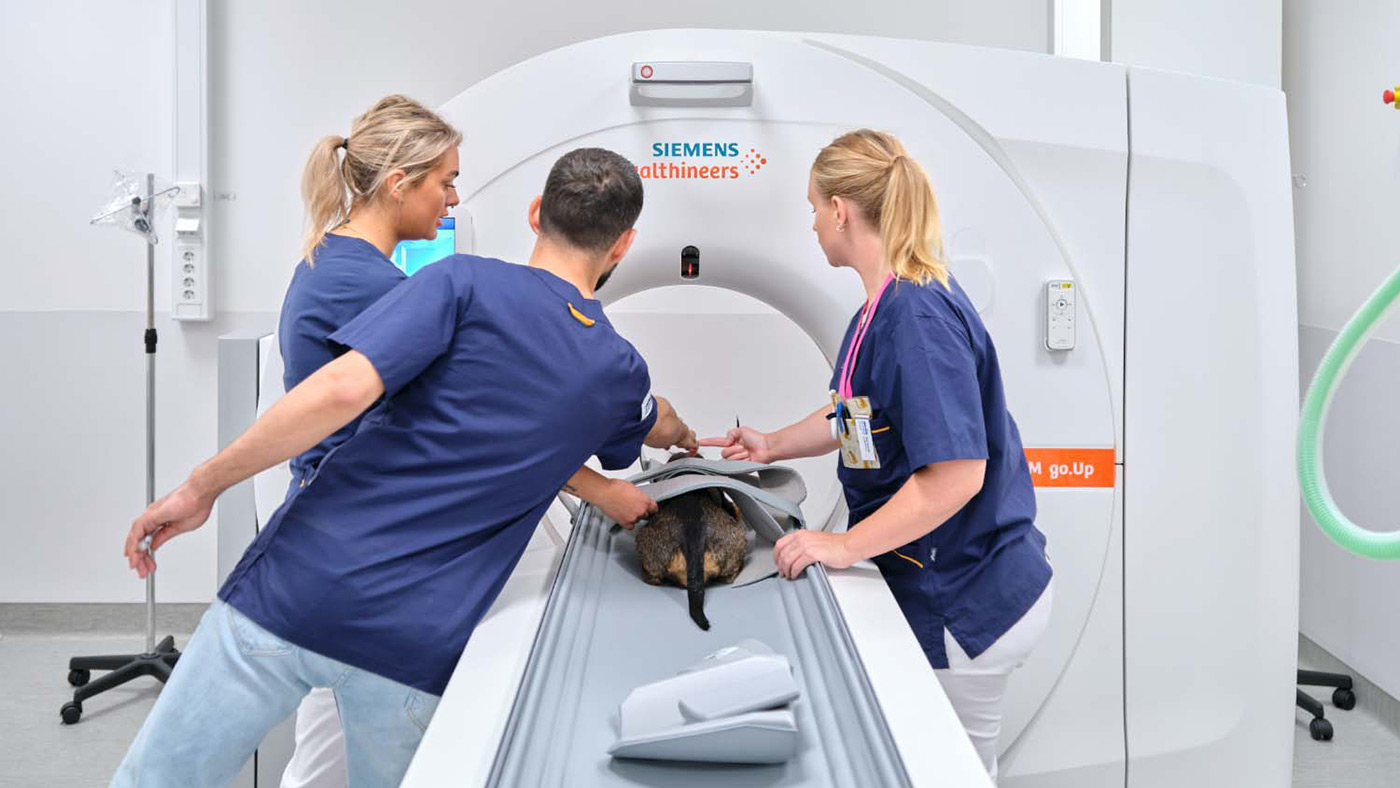 djursjukhus-lokal-för-skanska