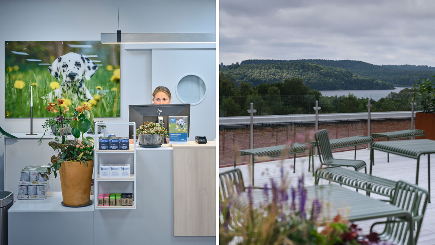 lokal-djursjukhus-evidensia-skanska