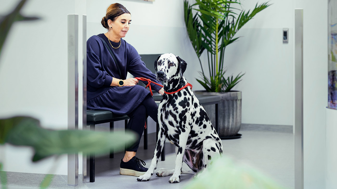 lokal-modern-djursjukvård-skanska-gbg