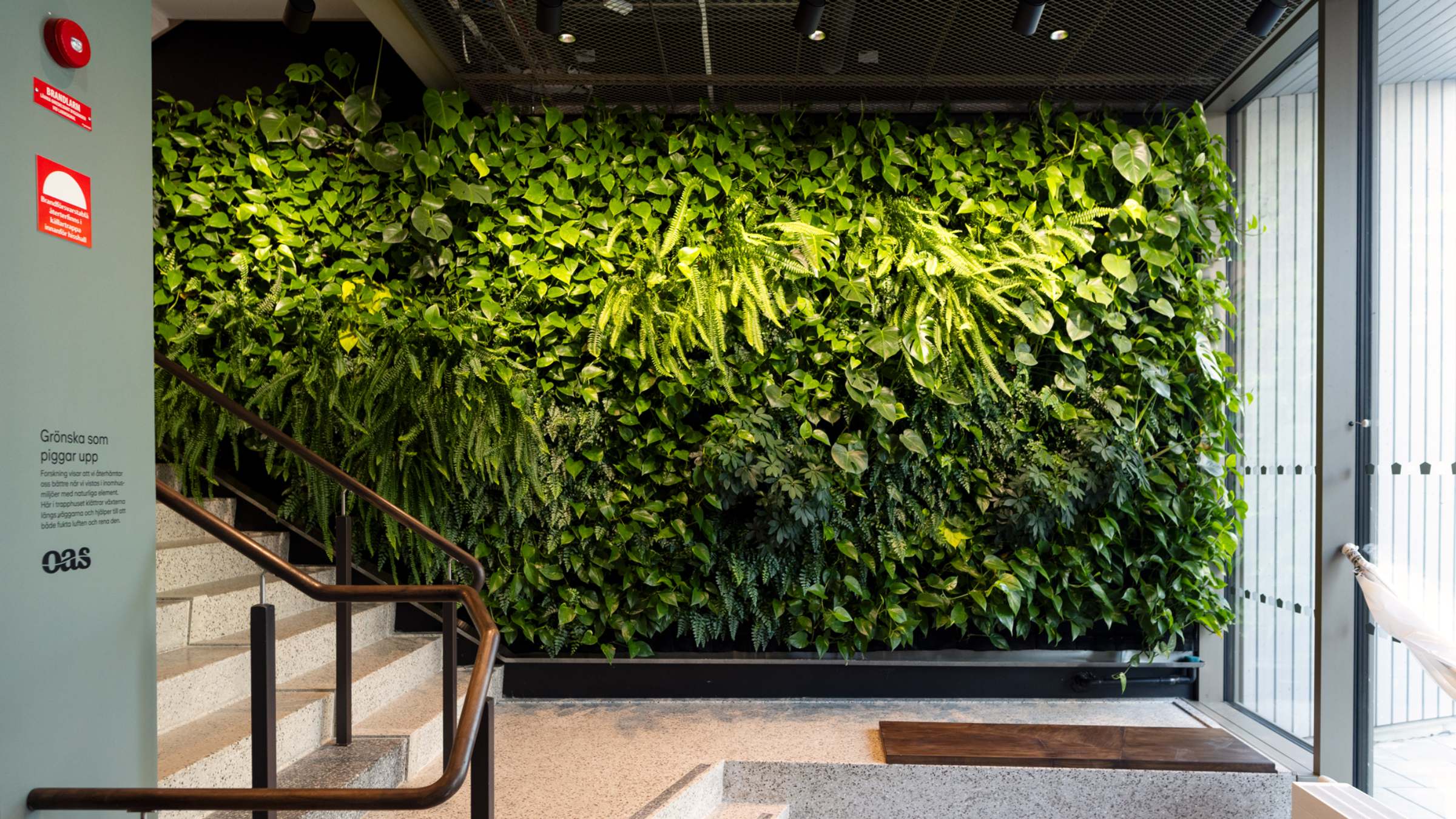 Oas-entre-kontor-malmo-biofili-16-9