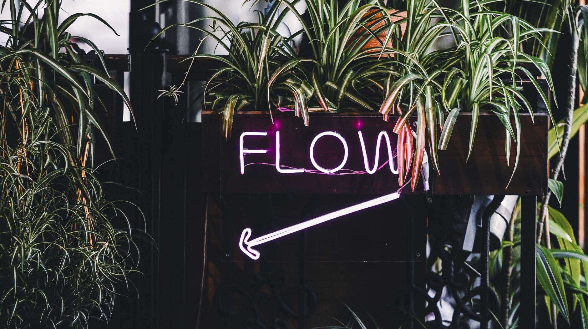 Gröna växter och en skylt med ordet flow.