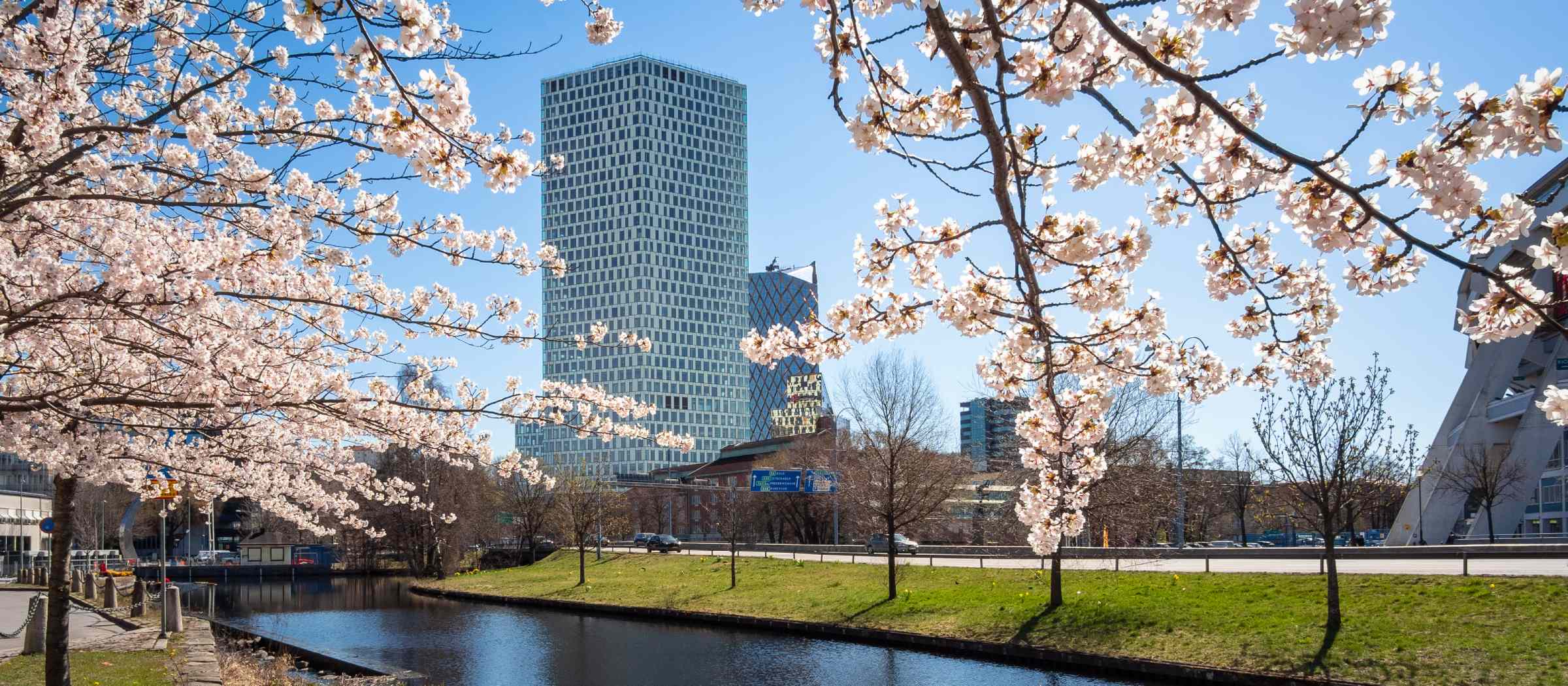 citygate-gårda-körsbärsträd-körsbärsblomning-vår-göteborg-16-7